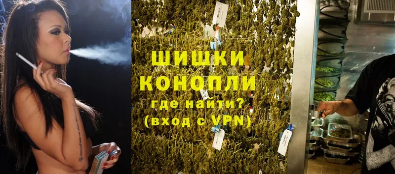 магазин продажи наркотиков  Гатчина  Каннабис Ganja 